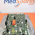 Siemens p/n 10096926_D611 BOARD