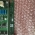 SS/ADIS Board TOSHIBA Aquilion One CT Scanner P/n PX74-08902
