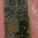 D61 Board w / 07715944 Board SIEMENS Axiom Artis Cath Angio p/n 05554915 / 05997932