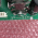 Table Logic Control Board GE Revolution Mammo P/n 221-3009 / 221-3010