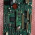 D1 CONTROL BOARD SIEMENS Arcadis Avantic C-Arm Parts P/N 10047650