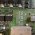 TABLE I/O BOARD SIEMENS Axiom Luminos dRF P/n 10656099