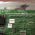 SEDECAL LF INTERFACE BOARD A3506-02-A