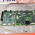 Siemens Mammomat Inspiration Digital D900 Board P/n 10139900 , 10501292