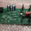FILAMENT SUPPLY BOARD Various X-Ray p/n 731407
