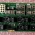 RDPW3 Board TOSHIBA Aquilion One CT Scanner P/n PX74-09270
